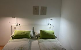 Central Apartment Vienna